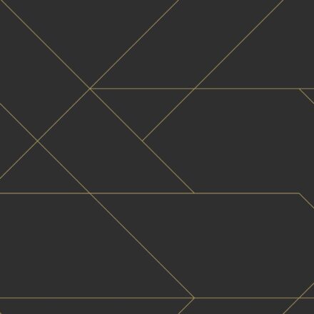 Wallpaper Graphic Lines Black & Gold