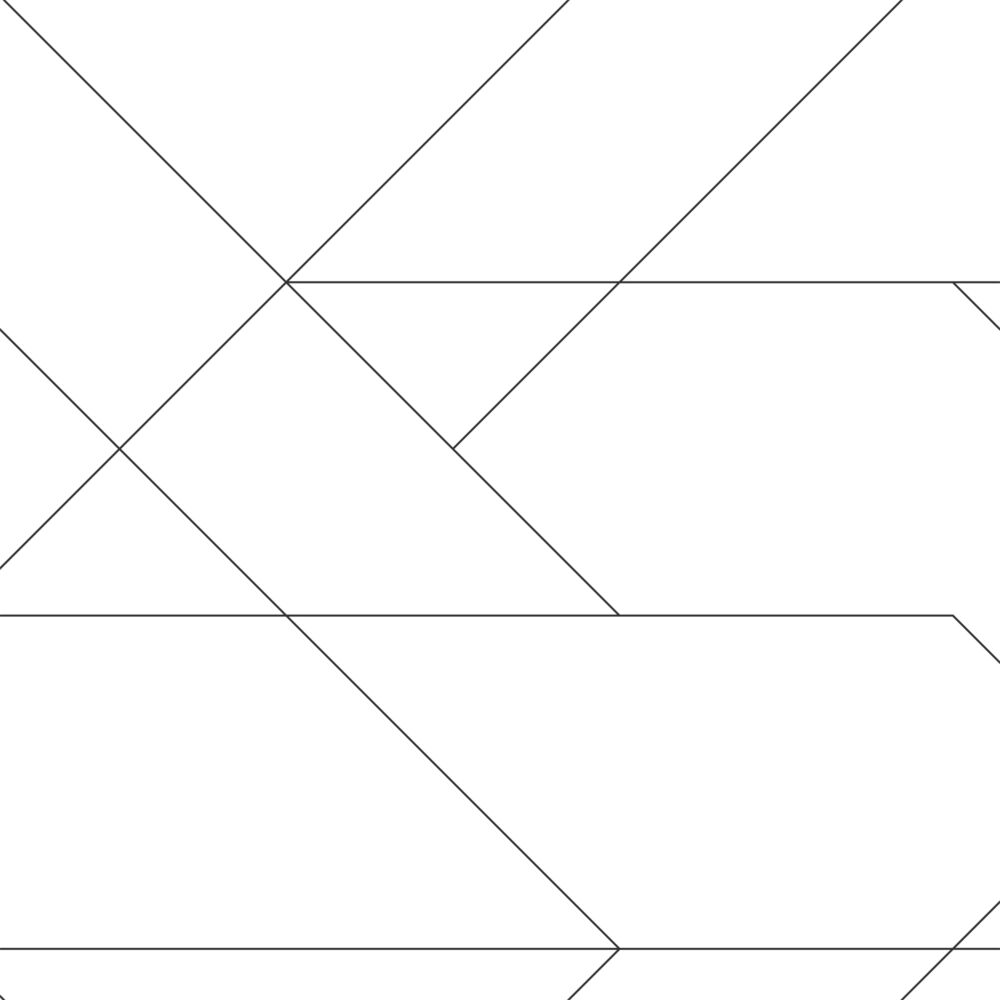 Wallpaper Graphic Lines Black & White 139235 (1)