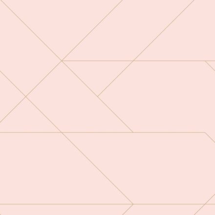 Wallpaper Graphic Lines Soft Pink & Gold