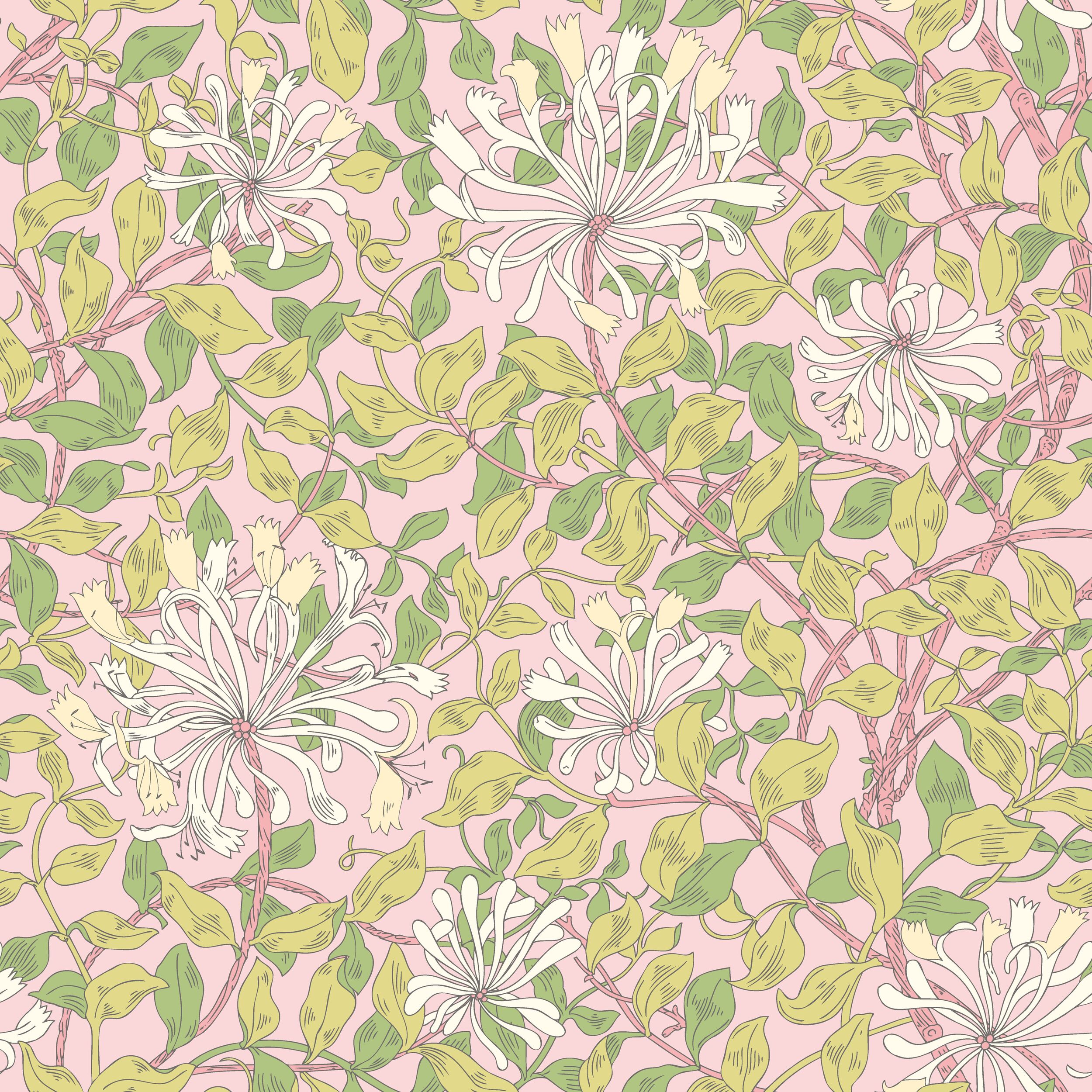 Wallpaper Honeysuckle Leaf Trail Soft Pink HWA1076W (2) Wallpaper Honeysuckle Leaf Trail Soft Pink
